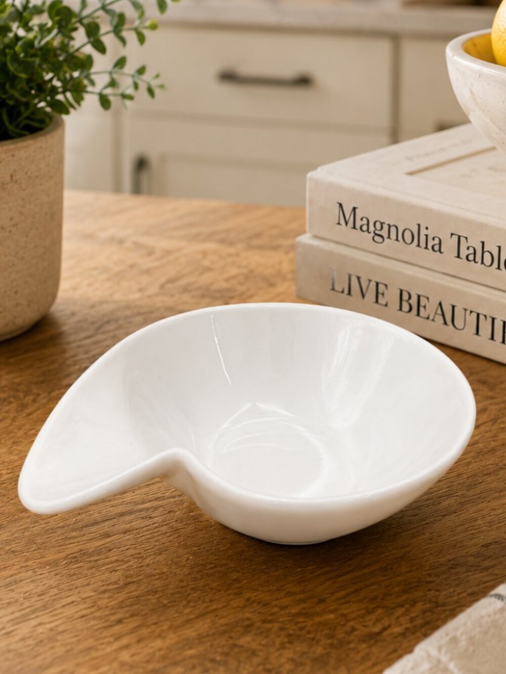 White Nautilus Shell Shaped Bowl Made Of Porcelain Ceramic Dish Bowl Small Plate